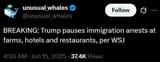 trump pauses deportations