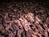auschwitz-shoes