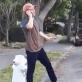 so-no-head
