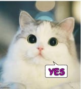 yescat