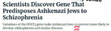 Schizokikes