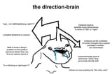 direction_brain