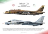 F-14 Tomcat