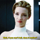 Westworldfuckbot