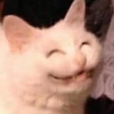 1655220704085