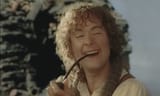 pippin smoking