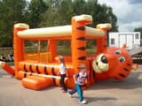 тигр