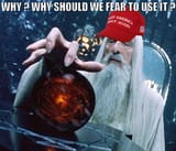 MAGA Palantir