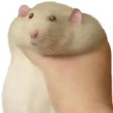 ratgrabmoji