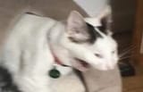 ugh