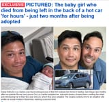 LGBT Fags adopting