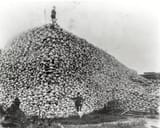 picturehistory004564-1024x822[1]