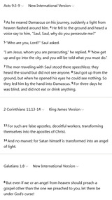 false_apostle