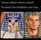 meow meow Israelites