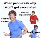 1620658941178