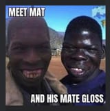 Mat and mate gloss