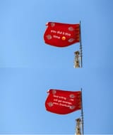 IMG_8900