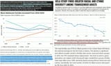 nonwhites are incels