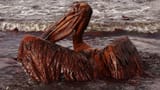 OIL SPILL