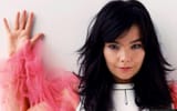 Bjork