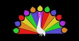 faggot TV birds