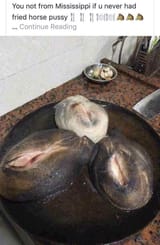 fried horse pussy