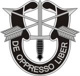 Q-Badge-31