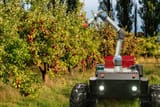autonomous-robot-harvester-with-robotic-arm