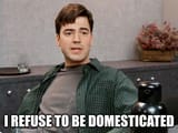 domestication