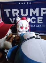 make America healthy again