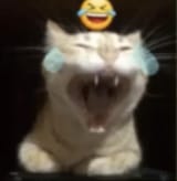 1746058399786977