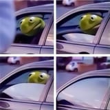 kermit car window