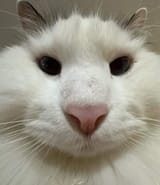 1731238137699