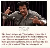scholar_discovers_chirping