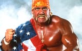 Hulkster flag