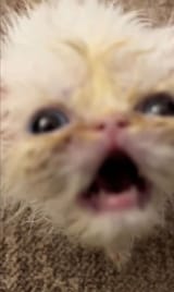 AHHHHHHH