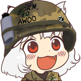 awoo metal jacket
