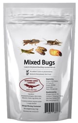 bug food