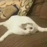 1656502917398