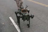 ROBO DOG2