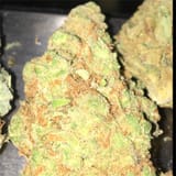 tangerine-dream__primary_08f5