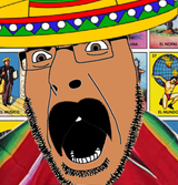 Mexisoy 5