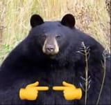 1394667007419