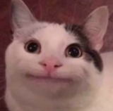 8675675465798708