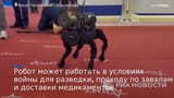 Робот-собака с гранатометом на спине появился на подмосковном форуме _Армия-2022_ - ВИДЕО 0-19 screenshot