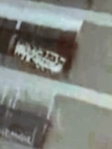 1736979096114084