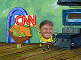 Trump sponge