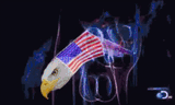 patriotic erection