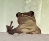 fuckoff