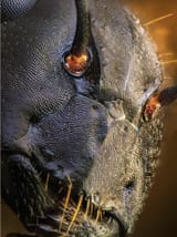 IMG_4582